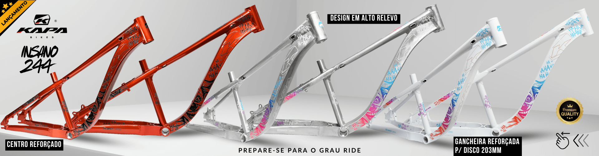 Quadro Bike KAPA Insano 244