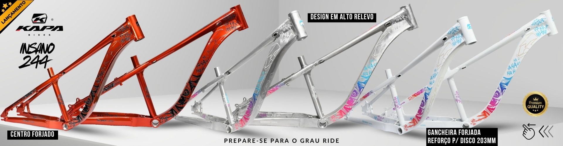 Quadro Bike KAPA Insano 244