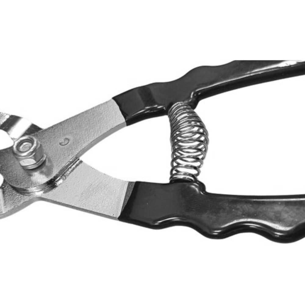 image_d0280aa3-99b9-4f50-94eb-5d1fee256a02