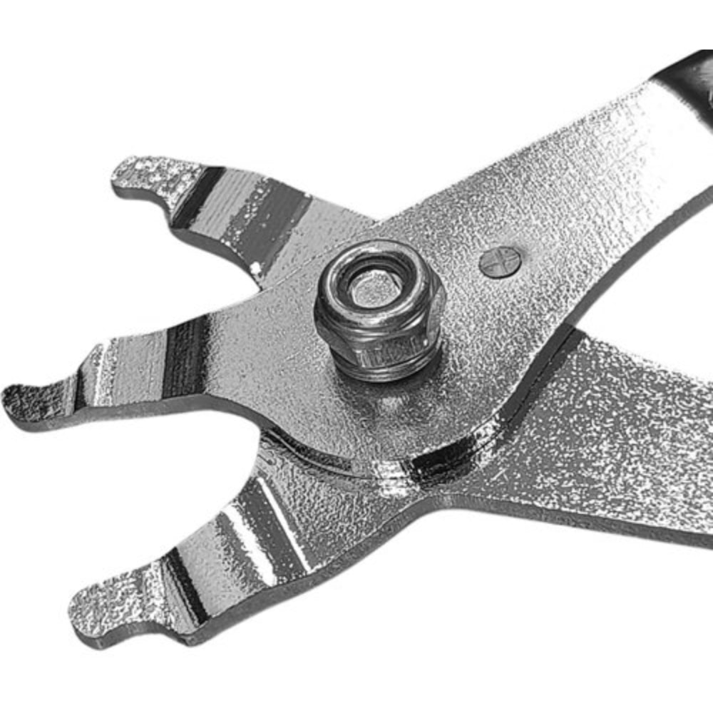 image_2d5b4724-e1b4-4be0-b7ce-b5fc56b15d52