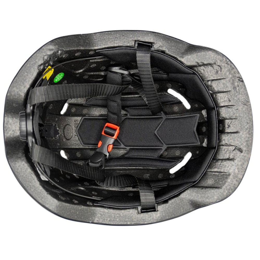 image_fb73742b-4225-4901-93cc-ab035b3ed556