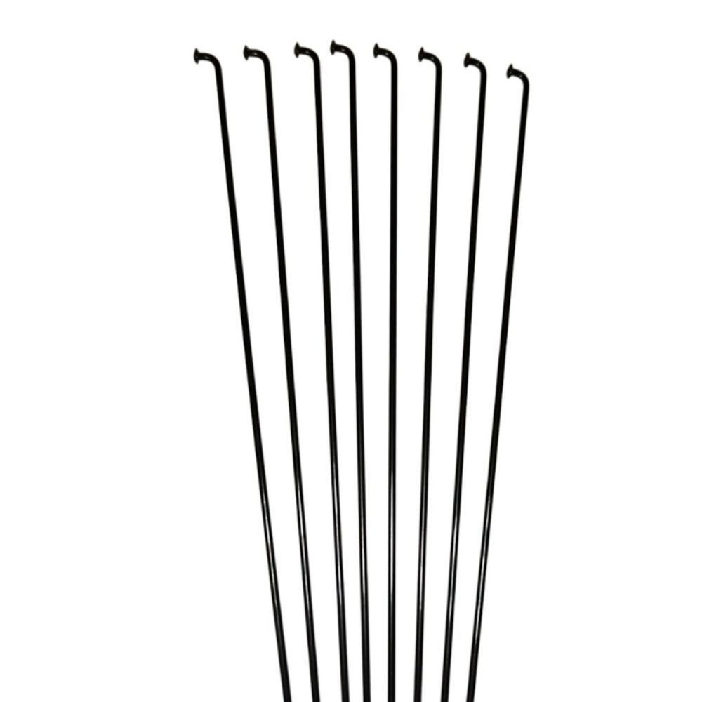 image_2985cba4-d147-4a6d-b3a1-73baa5a41b59